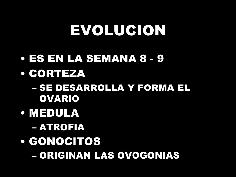 EVOLUCION ES EN LA SEMANA CORTEZA MEDULA GONOCITOS
