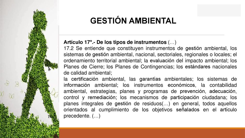 GESTIÓN AMBIENTAL Artículo 17°.- De los tipos de instrumentos (…)