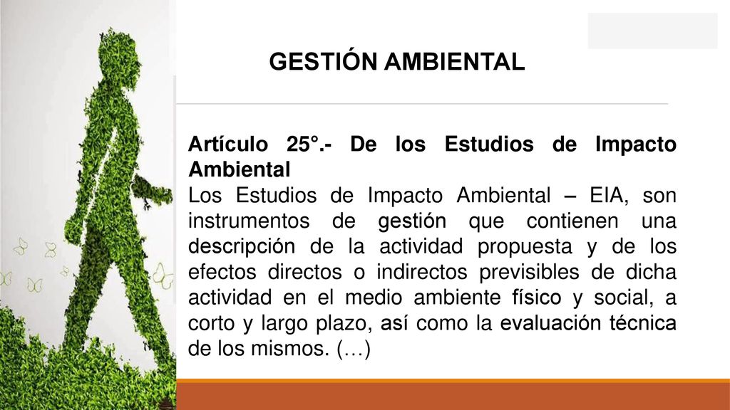 GESTIÓN AMBIENTAL Artículo 25°.- De los Estudios de Impacto Ambiental