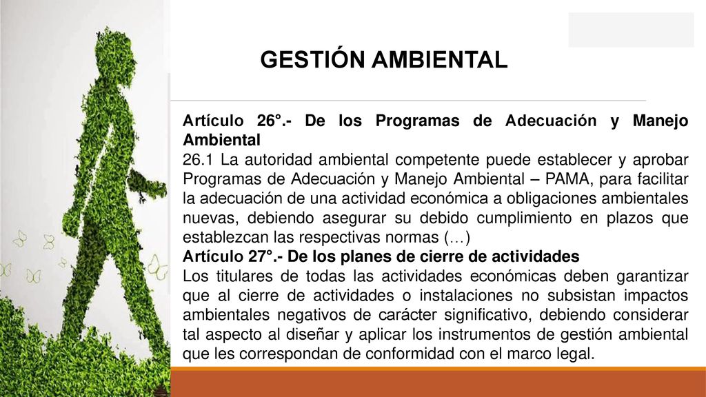 GESTIÓN AMBIENTAL Artículo 26°.- De los Programas de Adecuación y Manejo Ambiental.