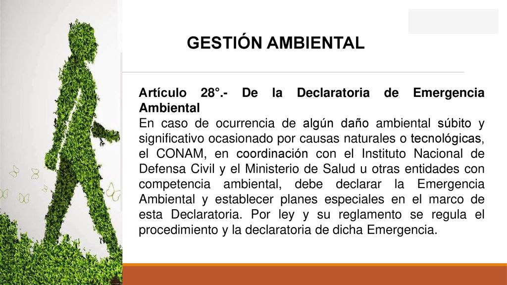 GESTIÓN AMBIENTAL Artículo 28°.- De la Declaratoria de Emergencia Ambiental.