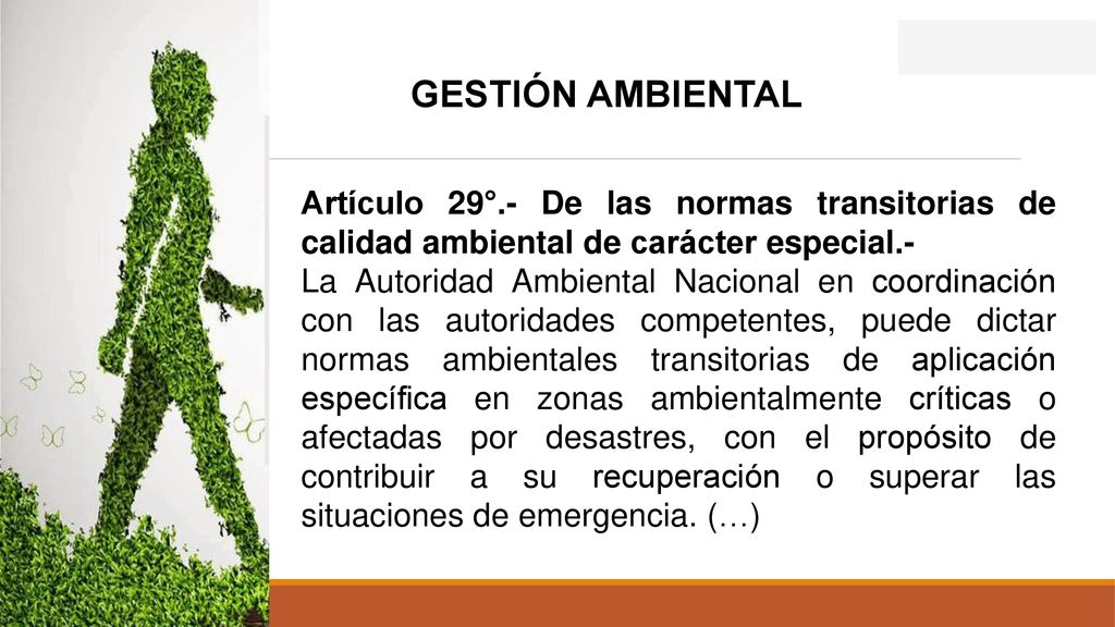 GESTIÓN AMBIENTAL Artículo 29°.- De las normas transitorias de calidad ambiental de carácter especial.-
