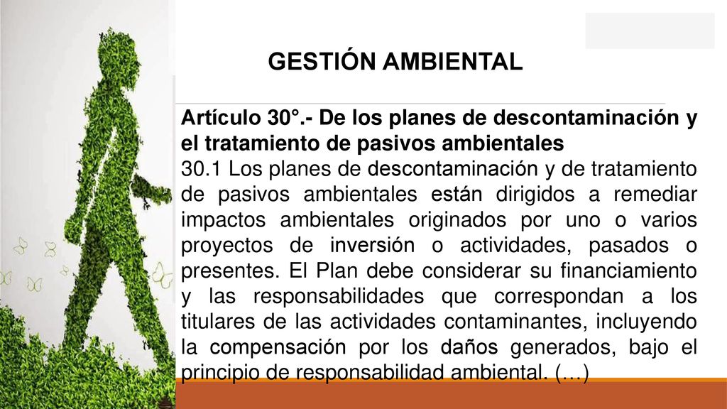 GESTIÓN AMBIENTAL Artículo 30°.- De los planes de descontaminación y el tratamiento de pasivos ambientales.