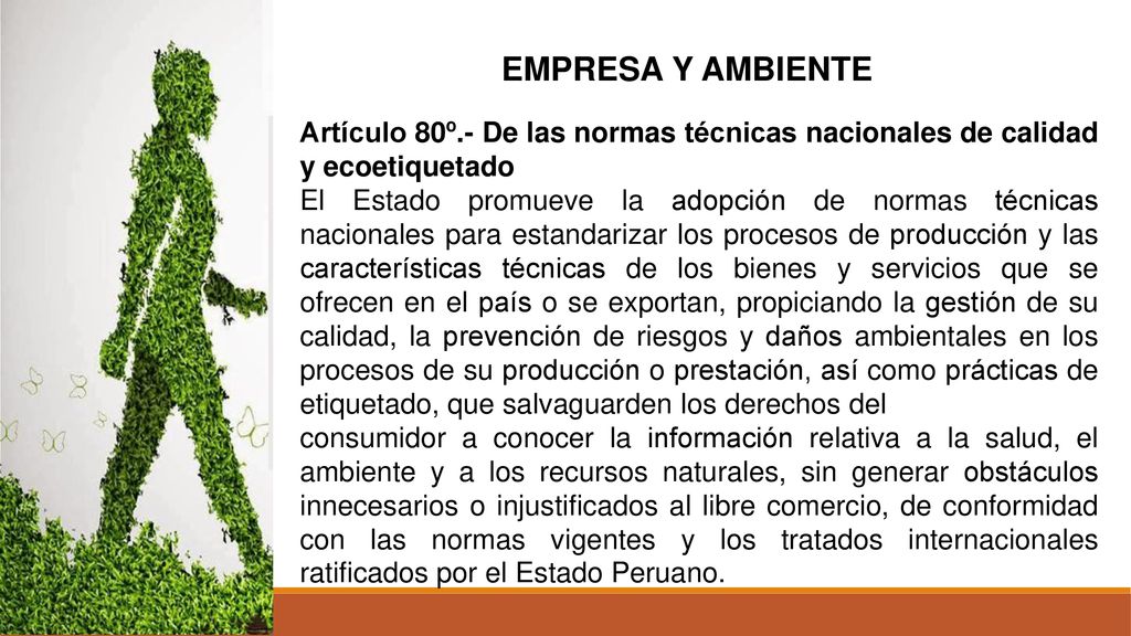 EMPRESA Y AMBIENTE Artículo 80º.- De las normas técnicas nacionales de calidad y ecoetiquetado.
