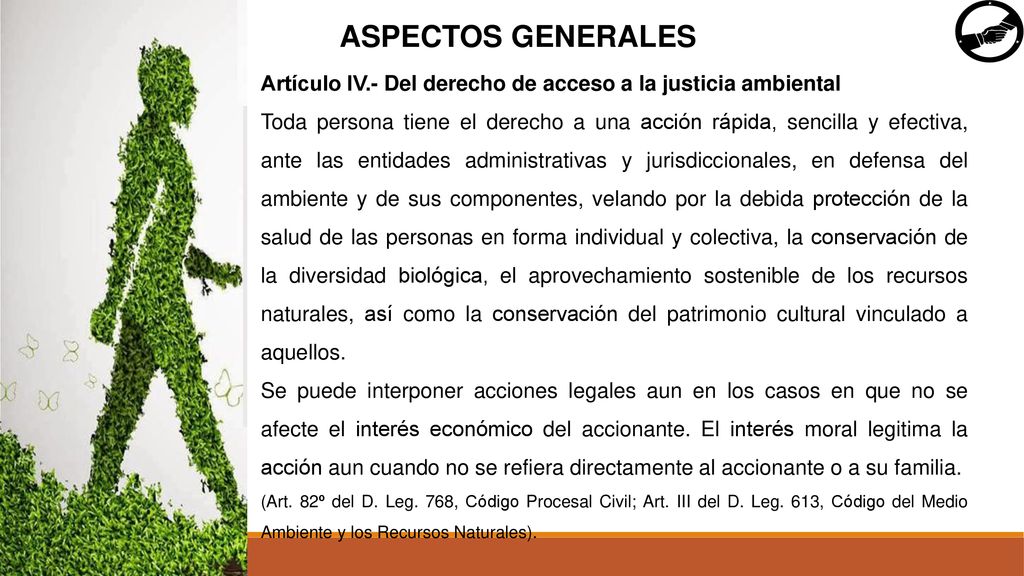 ASPECTOS GENERALES Artículo IV.- Del derecho de acceso a la justicia ambiental.