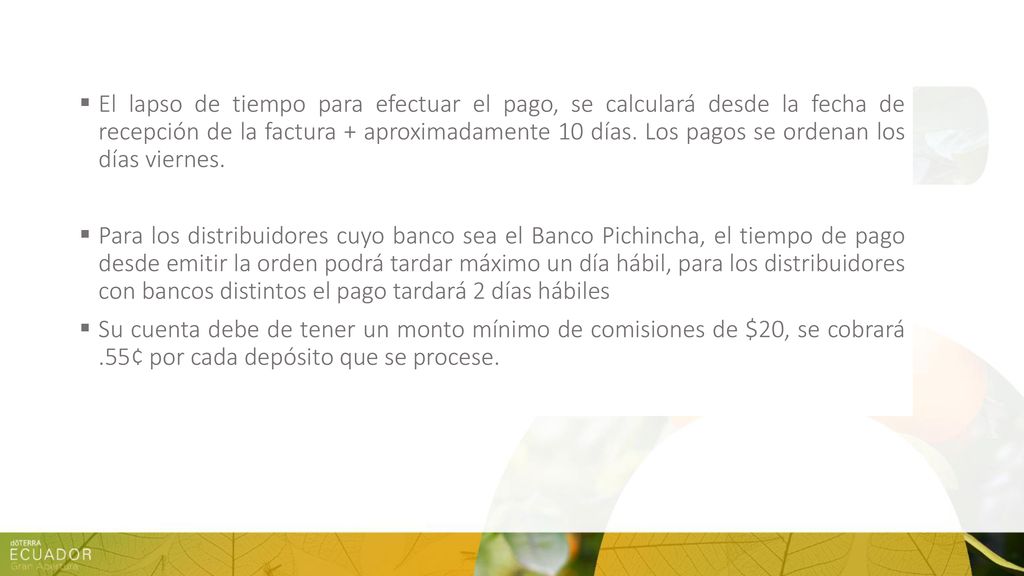 El lapso de tiempo para efectuar el pago, se calculará desde la fecha de recepción de la factura + aproximadamente 10 días. Los pagos se ordenan los días viernes.