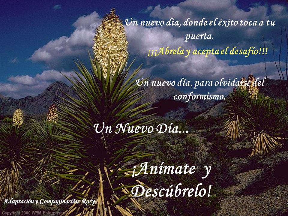 ¡Anímate y Descúbrelo! Un Nuevo Día...