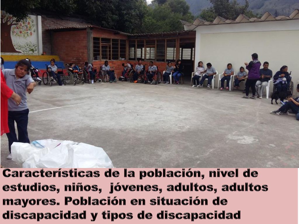 Características de la población, nivel de estudios, niños, jóvenes, adultos, adultos mayores.
