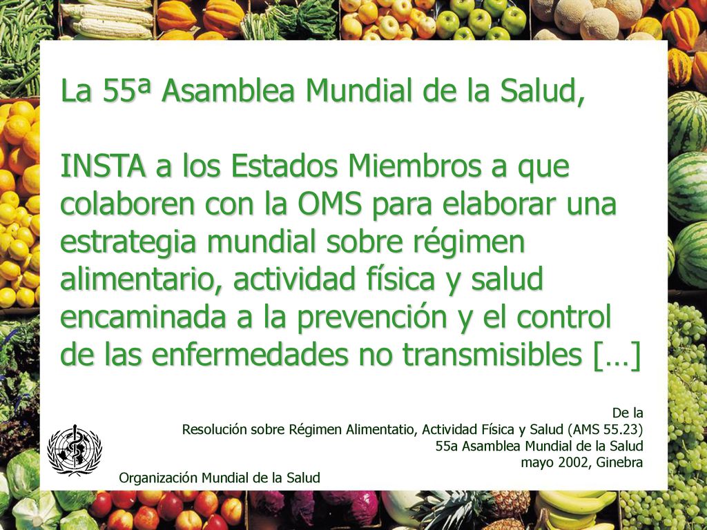 La 55ª Asamblea Mundial de la Salud, INSTA a los Estados Miembros a que colaboren con la OMS para elaborar una estrategia mundial sobre régimen alimentario, actividad física y salud encaminada a la prevención y el control de las enfermedades no transmisibles […]