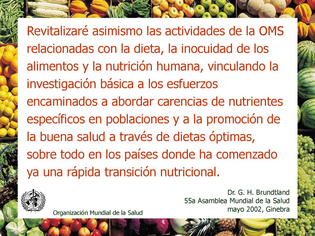 Revitalizaré asimismo las actividades de la OMS relacionadas con la dieta, la inocuidad de los alimentos y la nutrición humana, vinculando la investigación básica a los esfuerzos encaminados a abordar carencias de nutrientes específicos en poblaciones y a la promoción de la buena salud a través de dietas óptimas, sobre todo en los países donde ha comenzado ya una rápida transición nutricional.