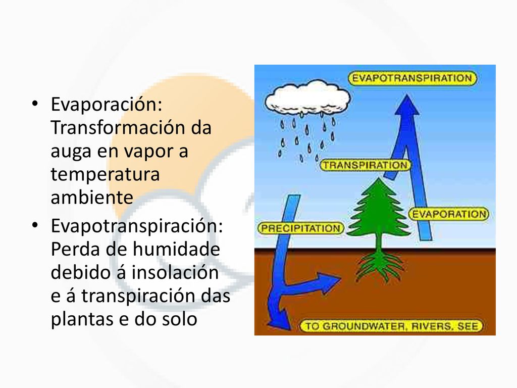 Evaporación: Transformación da auga en vapor a temperatura ambiente
