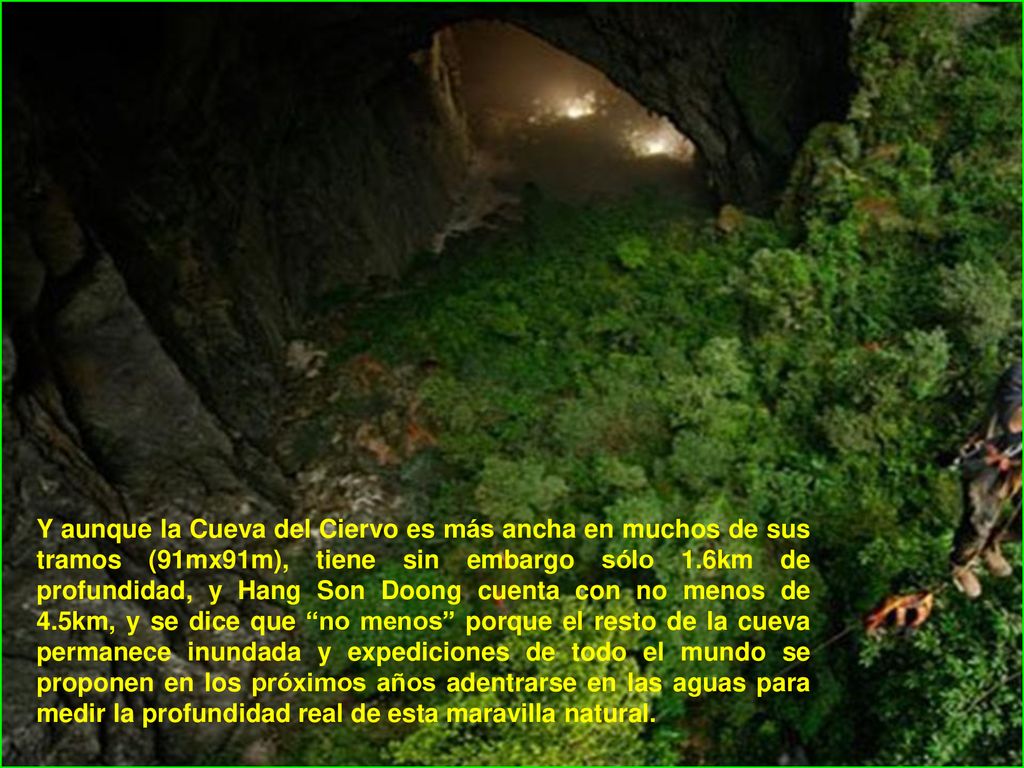 Y aunque la Cueva del Ciervo es más ancha en muchos de sus tramos (91mx91m), tiene sin embargo sólo 1.6km de profundidad, y Hang Son Doong cuenta con no menos de 4.5km, y se dice que no menos porque el resto de la cueva permanece inundada y expediciones de todo el mundo se proponen en los próximos años adentrarse en las aguas para medir la profundidad real de esta maravilla natural.