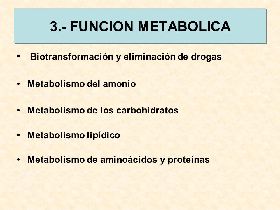 3.- FUNCION METABOLICA Biotransformación y eliminación de drogas