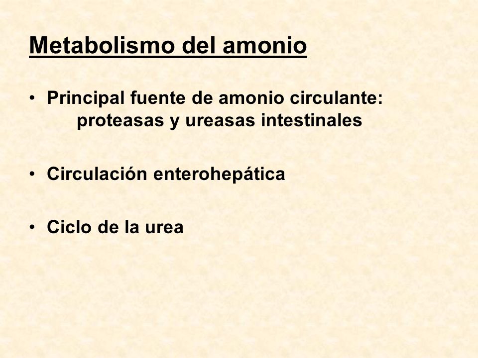 Metabolismo del amonio