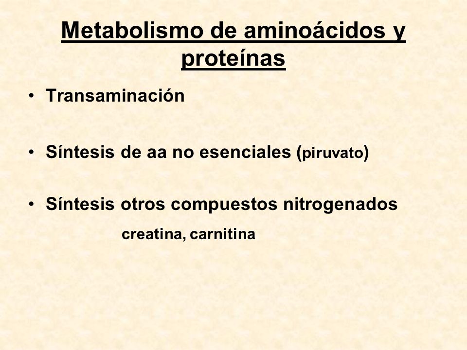 Metabolismo de aminoácidos y proteínas