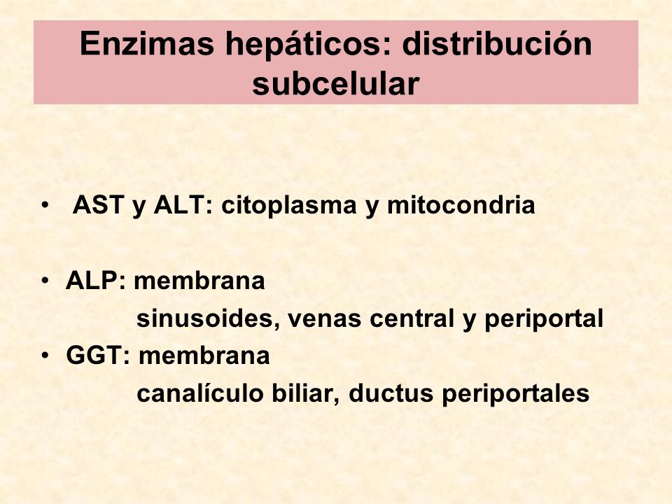 Enzimas hepáticos: distribución subcelular