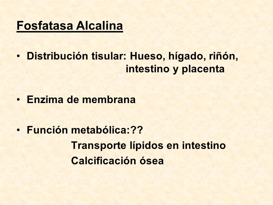 Fosfatasa Alcalina Distribución tisular: Hueso, hígado, riñón, intestino y placenta. Enzima de membrana.