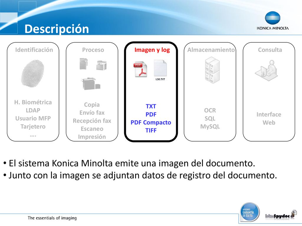 Descripción El sistema Konica Minolta emite una imagen del documento.