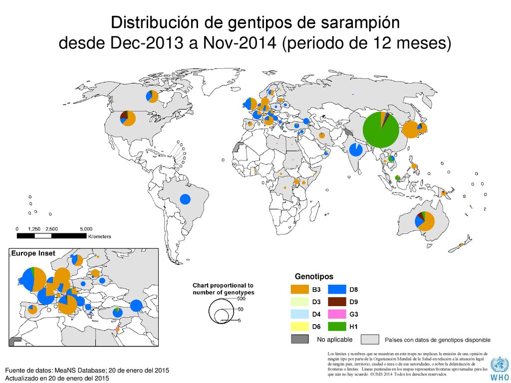 Distribución de gentipos de sarampión desde Dec-2013 a Nov-2014 (periodo de 12 meses)