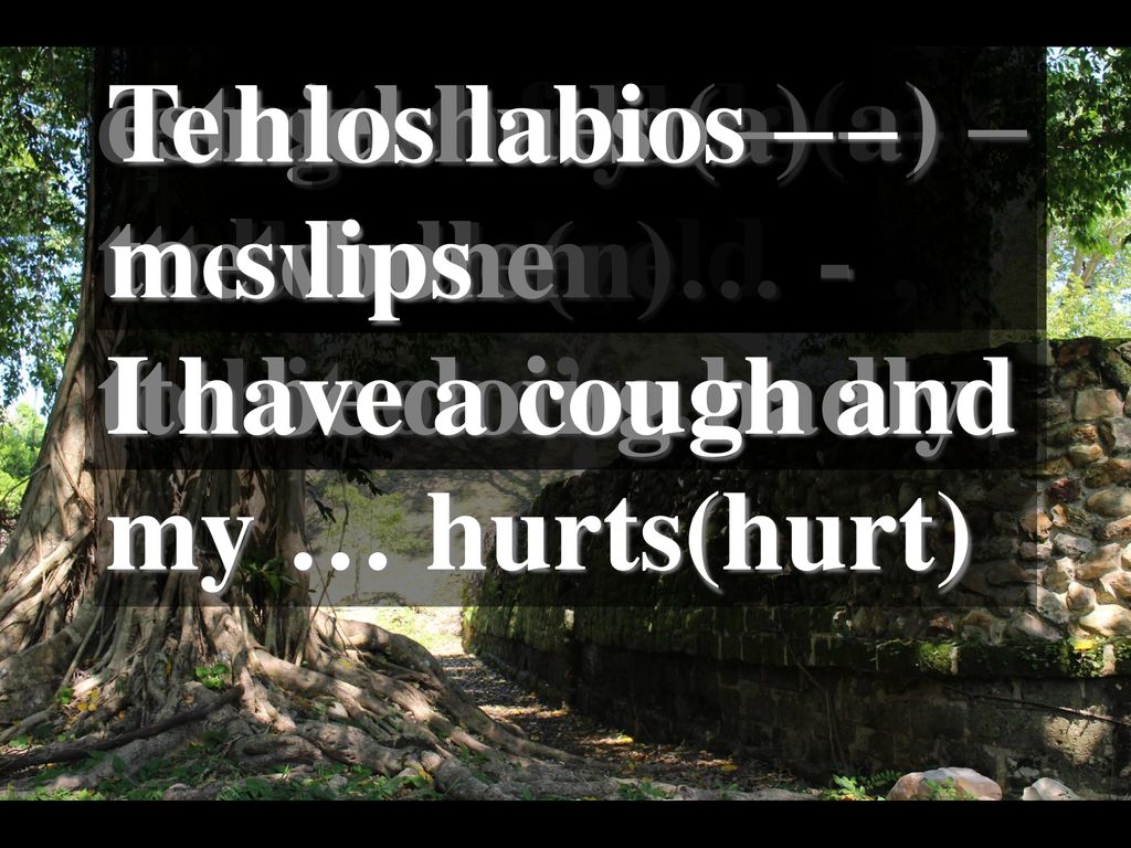darse un golpe en – to bump one’s…, to hit one’s… Tengo tos y. me duele(n)… - I have a cough and.