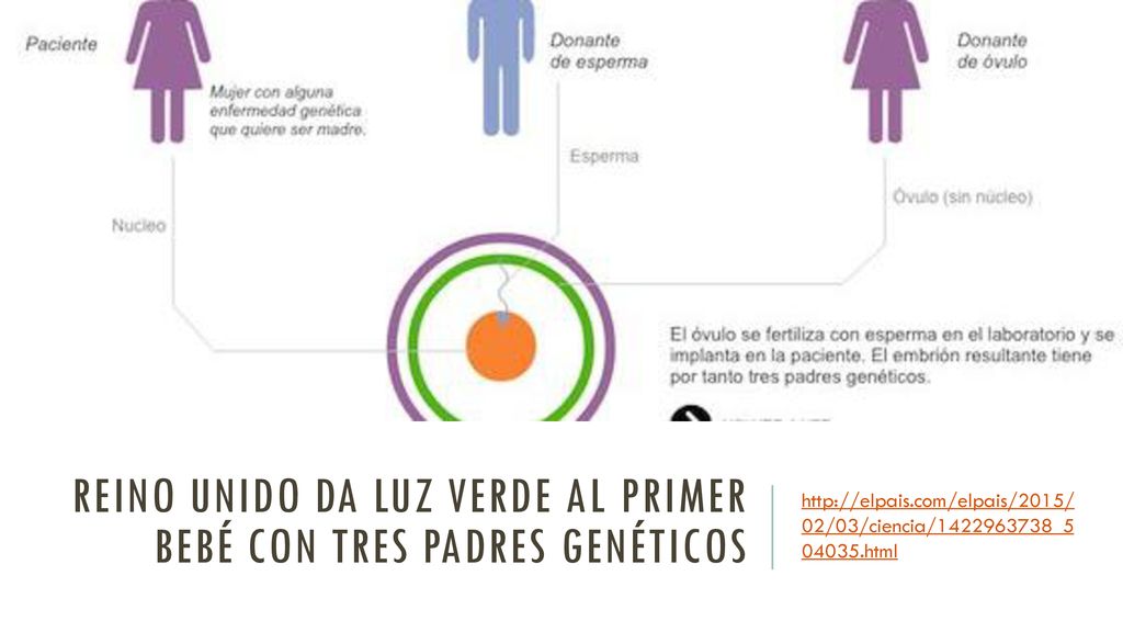 Reino Unido da luz verde al primer bebé con tres padres genéticos