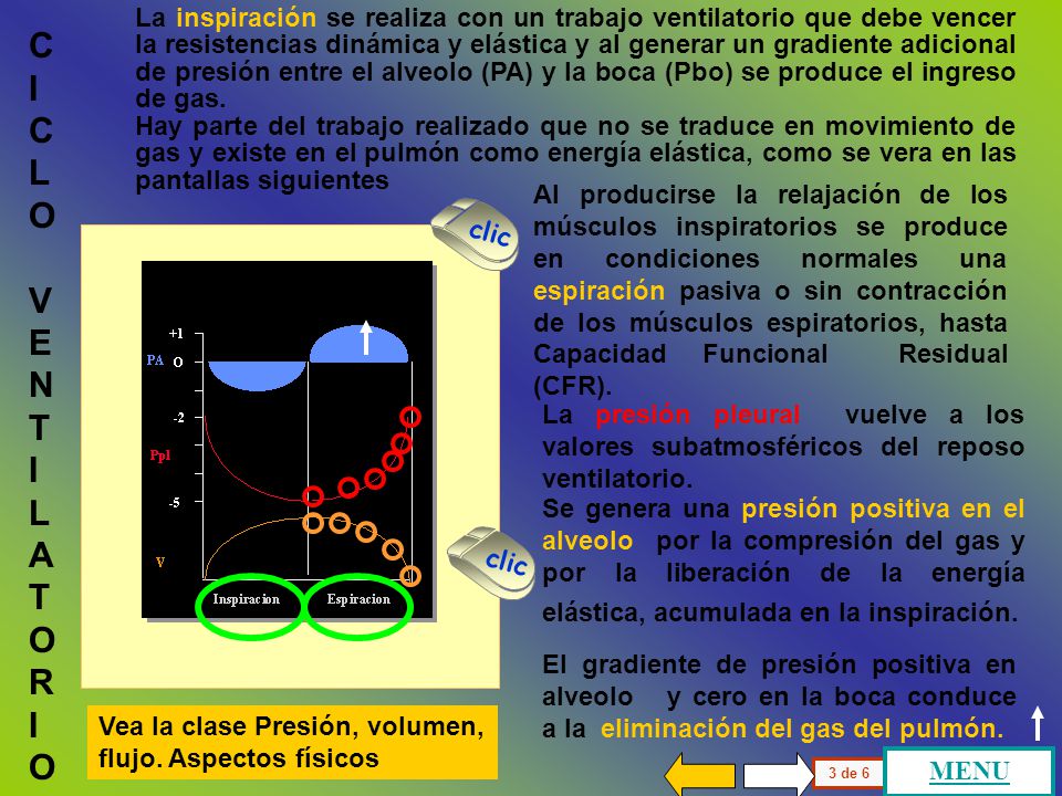 La inspiración se realiza con un trabajo ventilatorio que debe vencer la resistencias dinámica y elástica y al generar un gradiente adicional de presión entre el alveolo (PA) y la boca (Pbo) se produce el ingreso de gas.