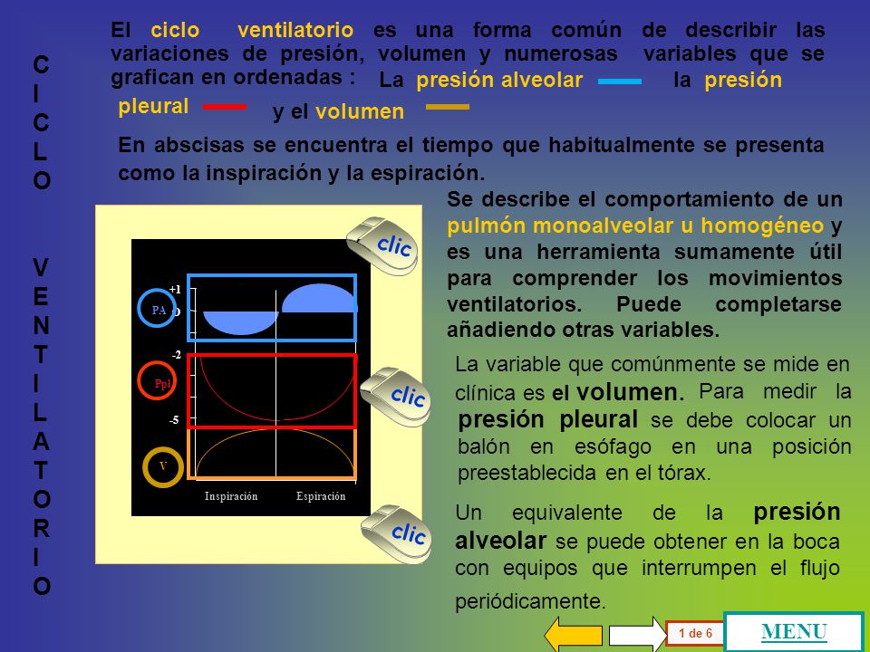 El ciclo ventilatorio es una forma común de describir las variaciones de presión, volumen y numerosas variables que se grafican en ordenadas :