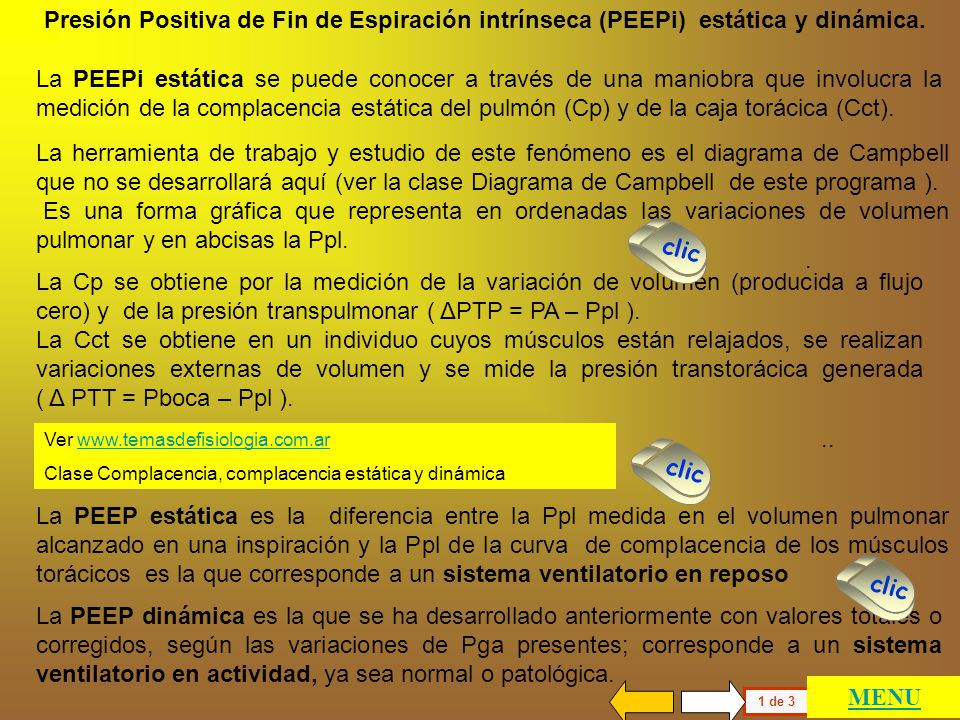 Presión Positiva de Fin de Espiración intrínseca (PEEPi) estática y dinámica.