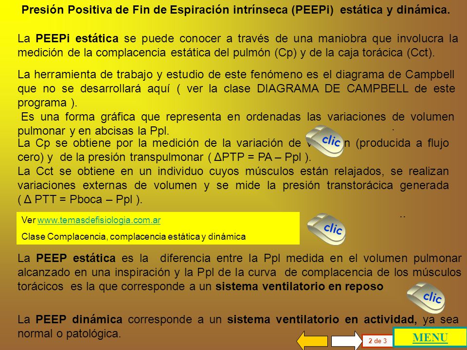 Presión Positiva de Fin de Espiración intrínseca (PEEPi) estática y dinámica.