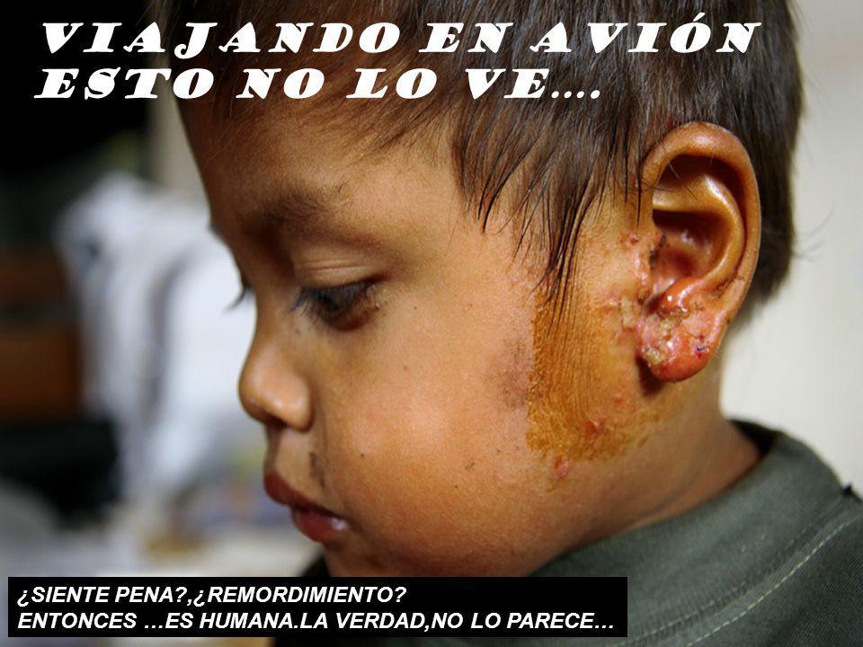 VIAJANDO EN AVIÓN ESTO NO LO VE…. ¿SIENTE PENA ,¿REMORDIMIENTO