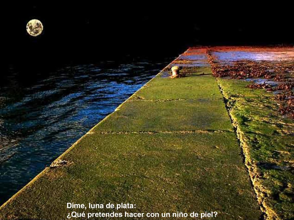 Dime, luna de plata: ¿Qué pretendes hacer con un niño de piel