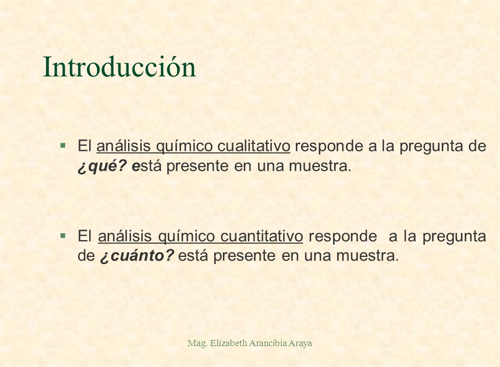 Mag. Elizabeth Arancibia Araya