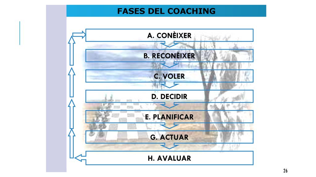 FASES DEL COACHING A. CONÈIXER B. RECONÈIXER C. VOLER D. DECIDIR E. PLANIFICAR G. ACTUAR H. AVALUAR