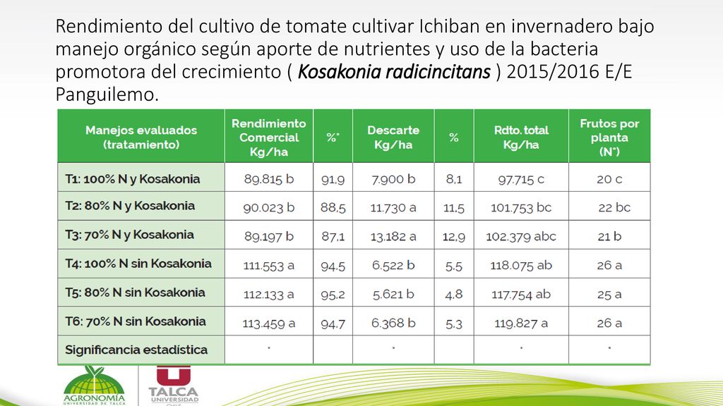 Rendimiento del cultivo de tomate cultivar Ichiban en invernadero bajo manejo orgánico según aporte de nutrientes y uso de la bacteria promotora del crecimiento ( Kosakonia radicincitans ) 2015/2016 E/E Panguilemo.