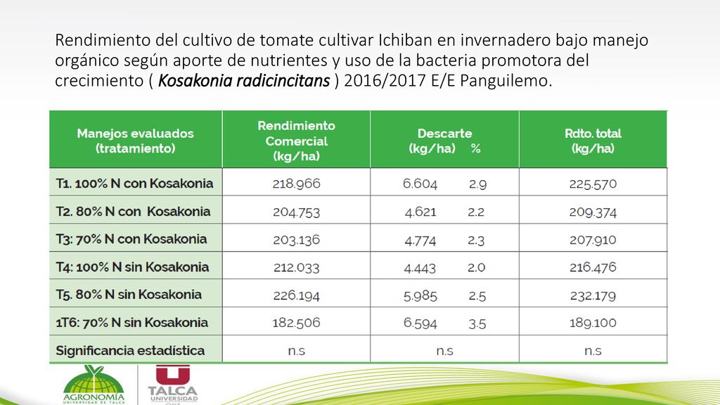 Rendimiento del cultivo de tomate cultivar Ichiban en invernadero bajo manejo orgánico según aporte de nutrientes y uso de la bacteria promotora del crecimiento ( Kosakonia radicincitans ) 2016/2017 E/E Panguilemo.