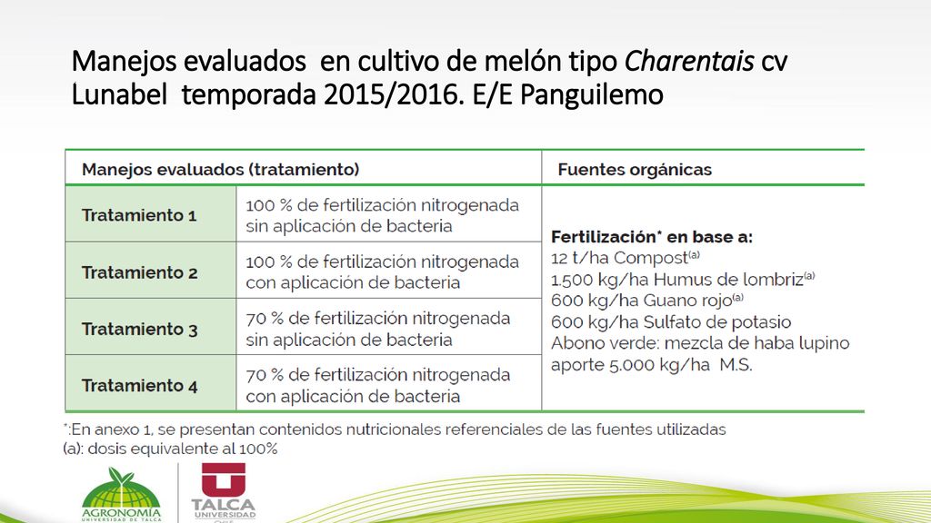 Manejos evaluados en cultivo de melón tipo Charentais cv Lunabel temporada 2015/2016. E/E Panguilemo
