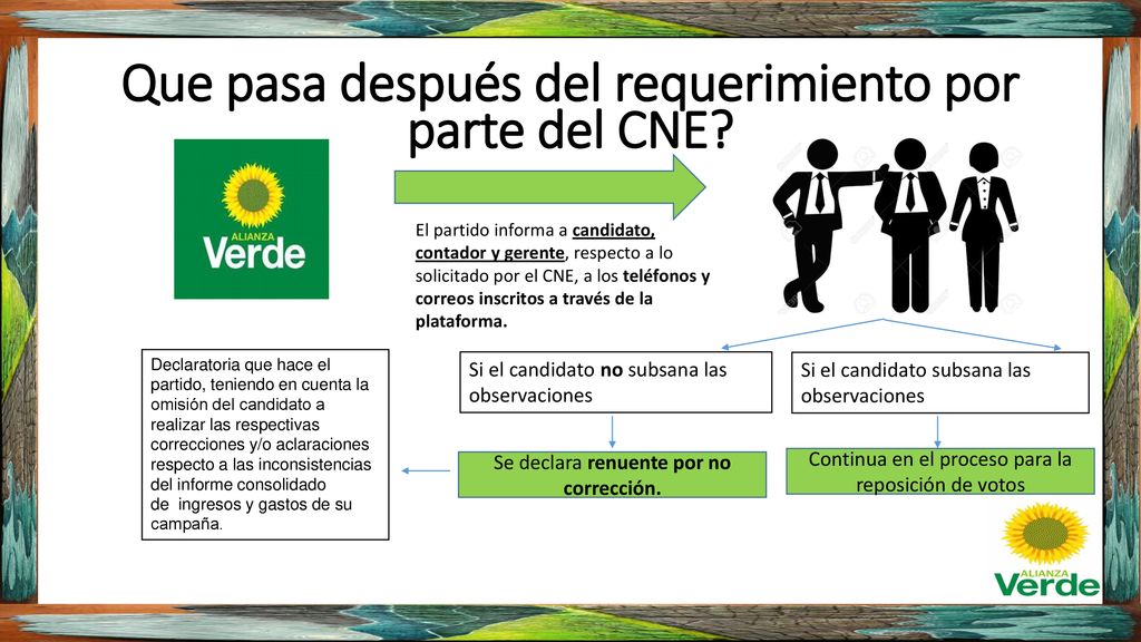 Que pasa después del requerimiento por parte del CNE
