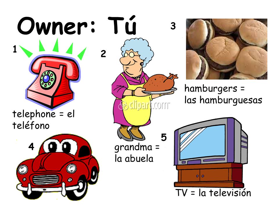 Owner: Tú hamburgers = las hamburguesas telephone = el teléfono