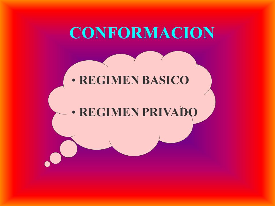 CONFORMACION REGIMEN BASICO REGIMEN PRIVADO