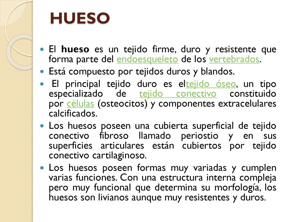HUESO El hueso es un tejido firme, duro y resistente que forma parte del endoesqueleto de los vertebrados.
