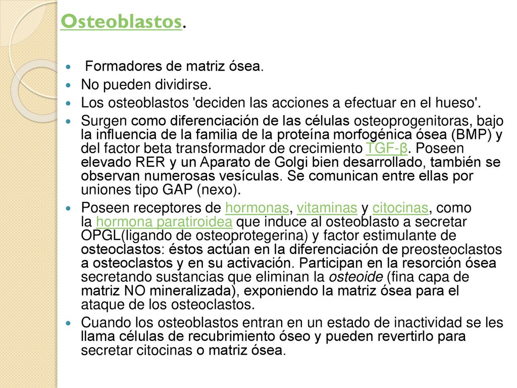 Osteoblastos. Formadores de matriz ósea. No pueden dividirse.