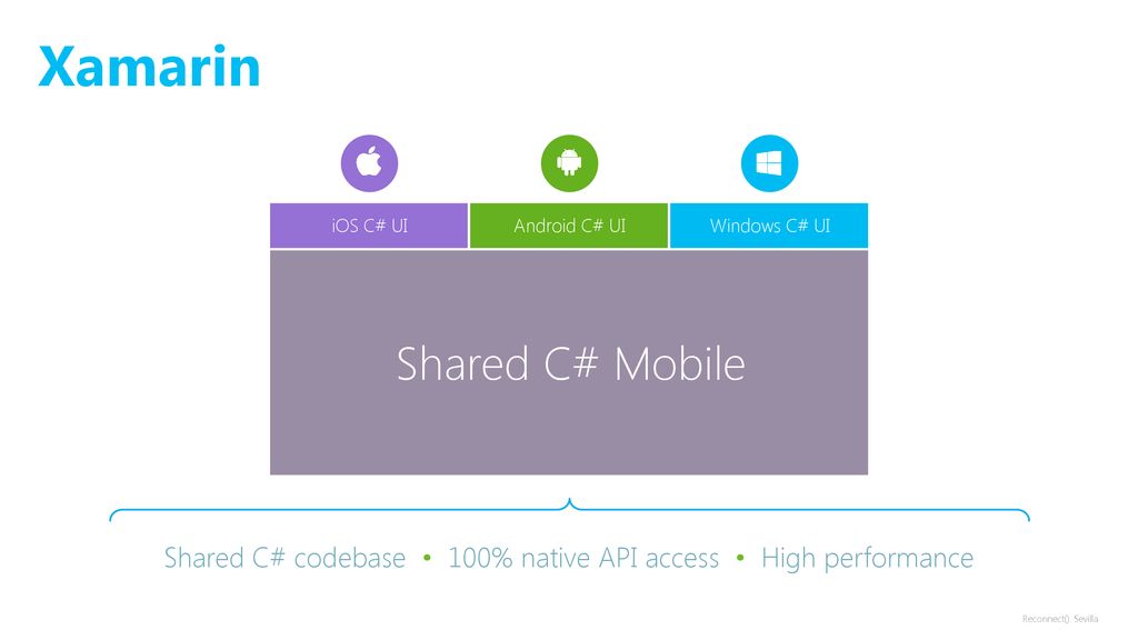 Shared C# codebase • 100% native API access • High performance