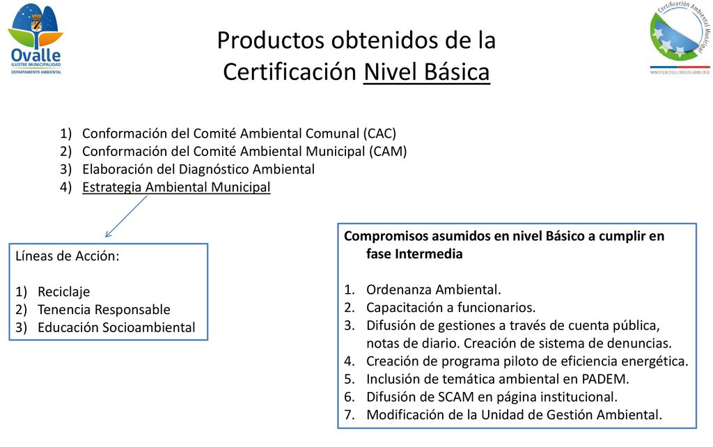 Productos obtenidos de la Certificación Nivel Básica