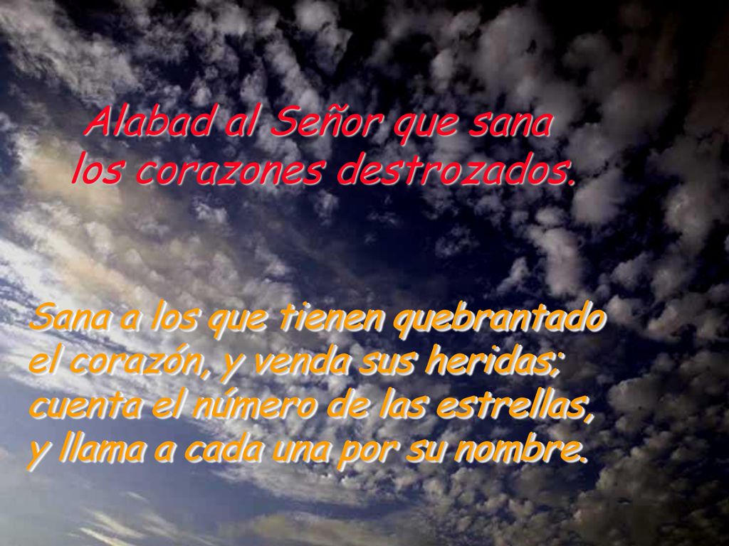Alabad al Señor que sana los corazones destrozados.
