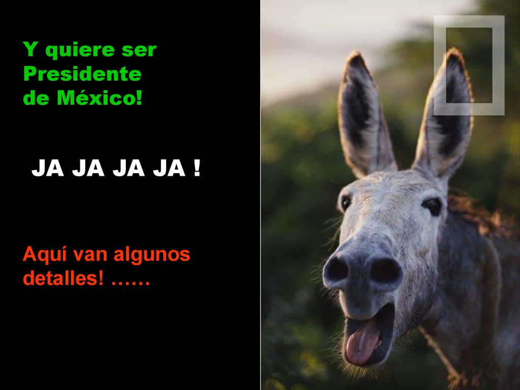JA JA JA JA ! Y quiere ser Presidente de México!