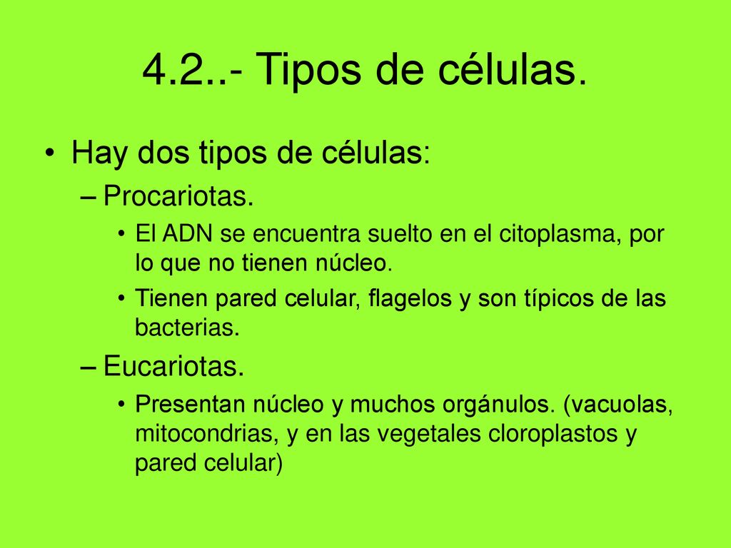 Tipos de células. Hay dos tipos de células: Procariotas.