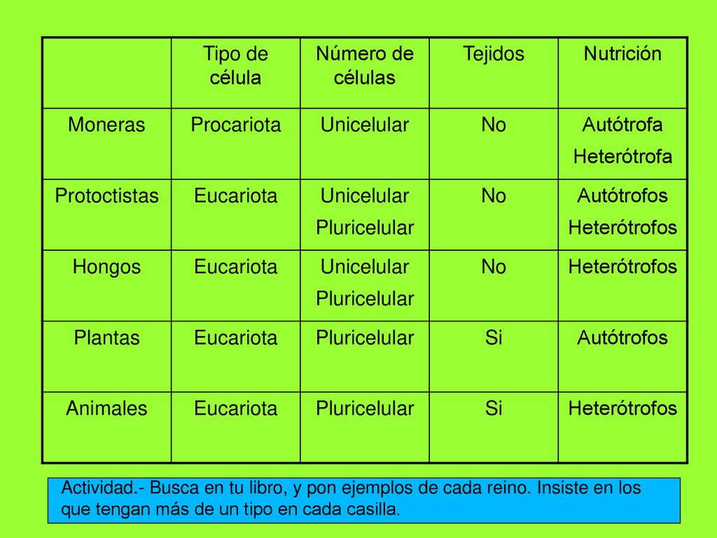 Tipo de célula Número de células Tejidos Nutrición Moneras Procariota