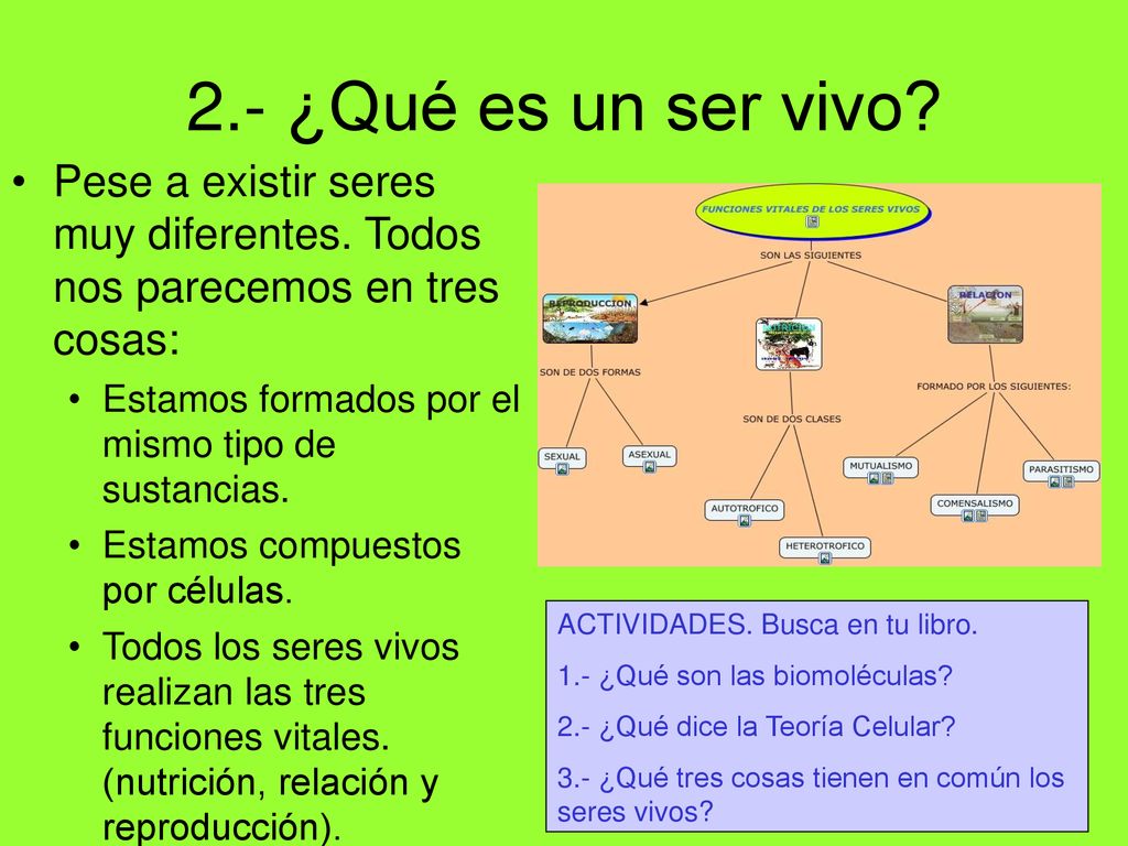 2.- ¿Qué es un ser vivo Pese a existir seres muy diferentes. Todos nos parecemos en tres cosas: