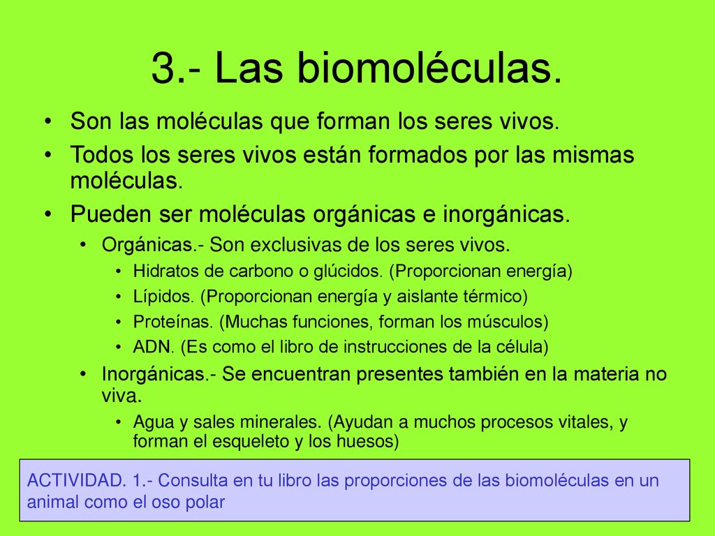 3.- Las biomoléculas. Son las moléculas que forman los seres vivos.