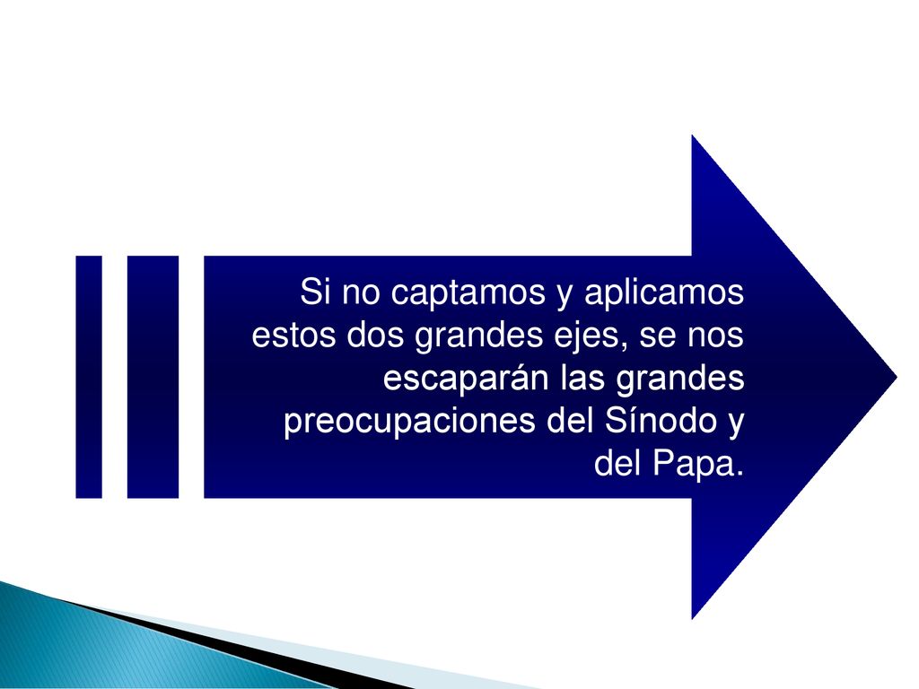 Si no captamos y aplicamos estos dos grandes ejes, se nos escaparán las grandes preocupaciones del Sínodo y del Papa.